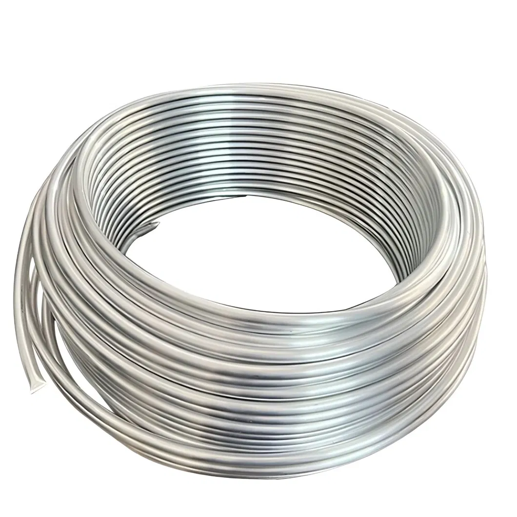 شعبية عالمية! ملفات Hastelloy C2000 المصنعة من الصينية المصنعة حسب الطلب مصممة بدقة لظروف التشغيل المعقدة. 